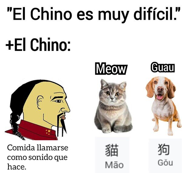 chino,comida,gato,idioma,perro,sonido