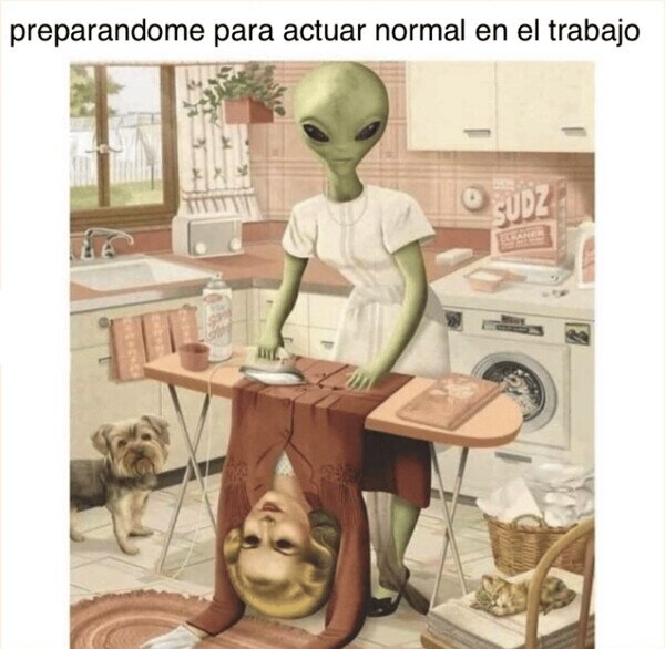 alien,humano,preparar,trabajo