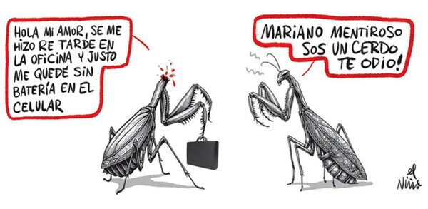 Otros - Es fácil detectar una infidelidad si eres una mantis