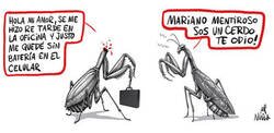 Enlace a Es fácil detectar una infidelidad si eres una mantis