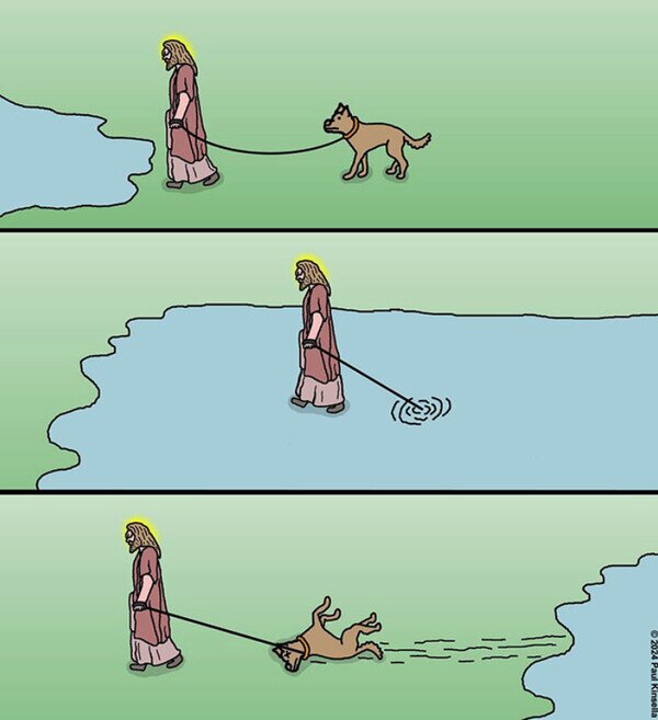 agua,caminar,Jesucristo,perro