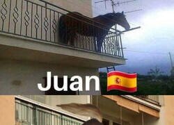 Enlace a Diferencias entre caballos en el balcón