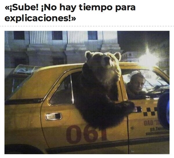 explicaciones,oso,subir,taxi