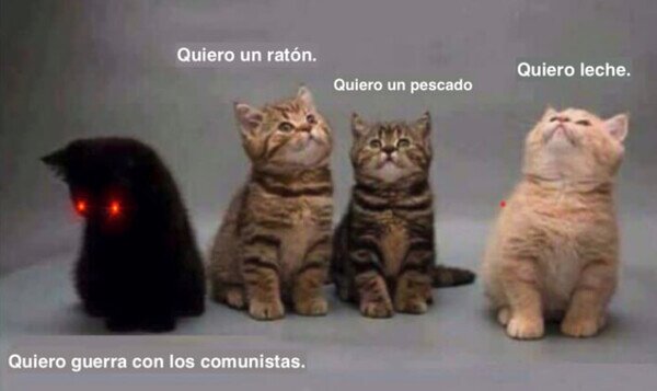 Meme_otros - Hay 4 tipos de gato