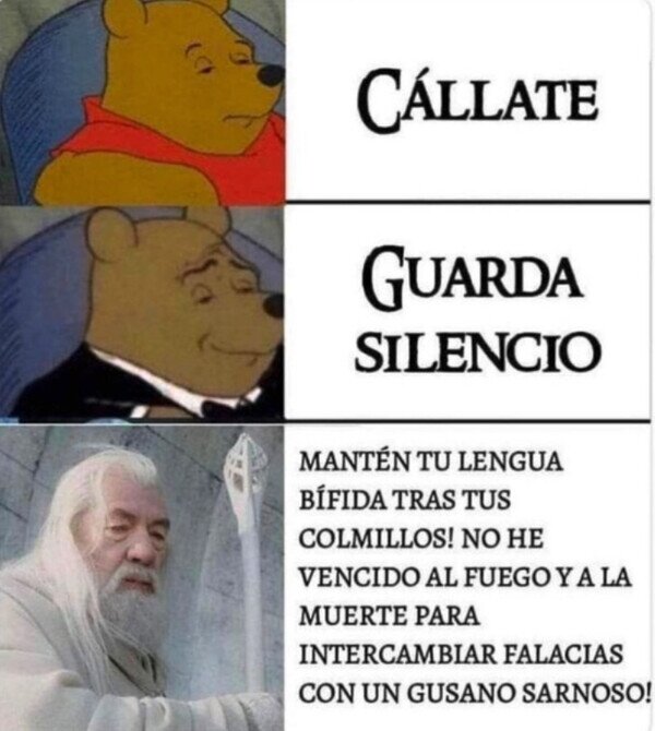 callar,decir,elegante,Gandalf