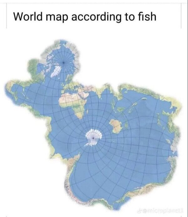 agua,mapa,mundo,peces