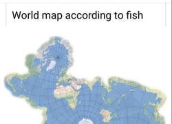 Enlace a Mapa mundi según los peces