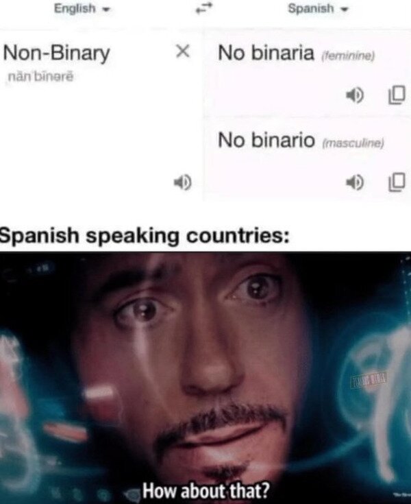 español,femenino,idioma,masculino,no binario