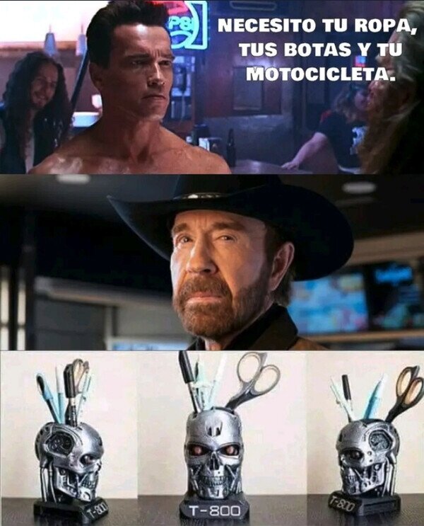 cabeza,Chuck Norris,portalapices,terminator