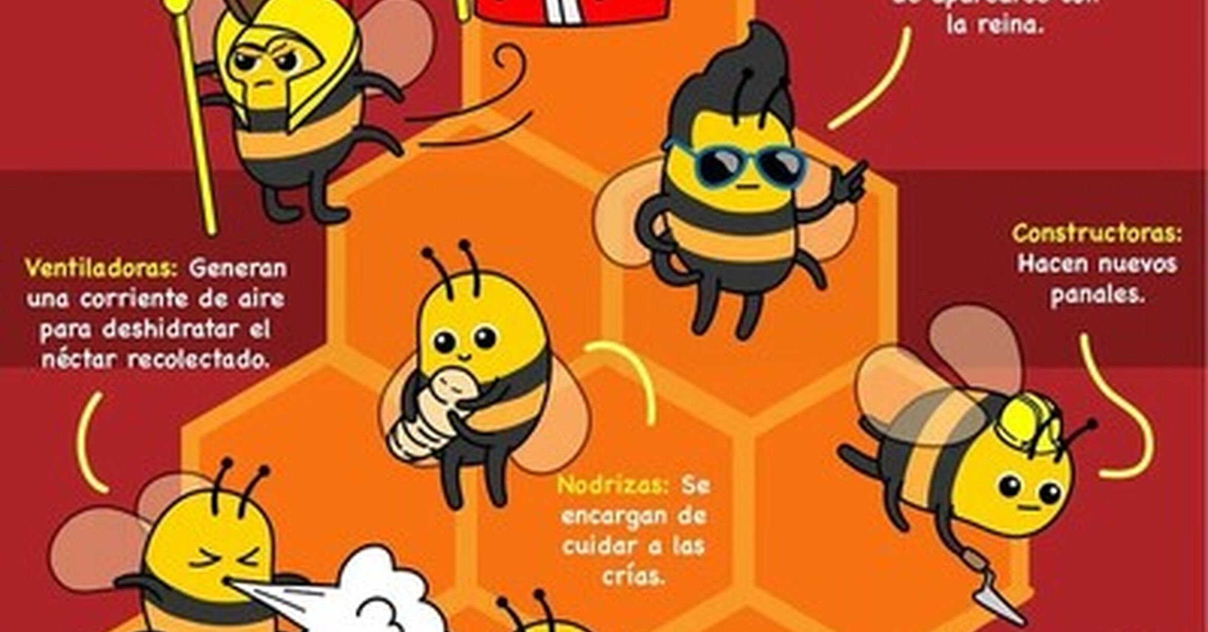 Cuánto cabrón / División del trabajo de las abejas