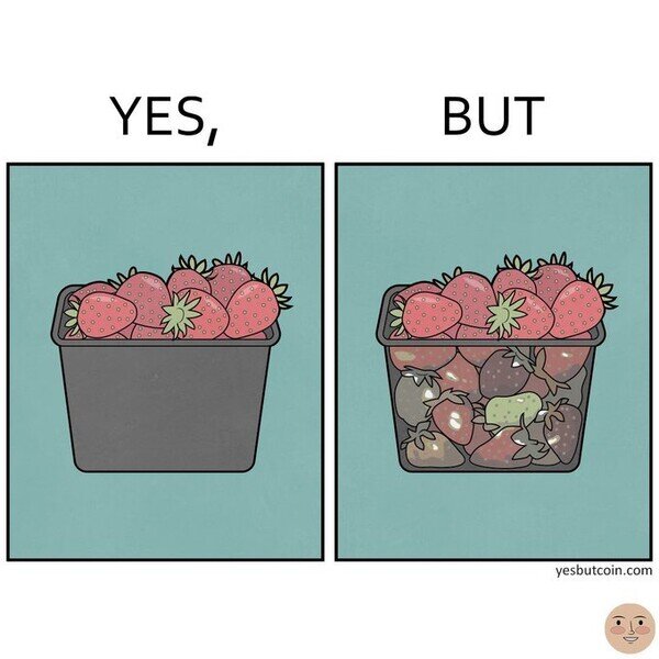 fresas,frutas,yes but