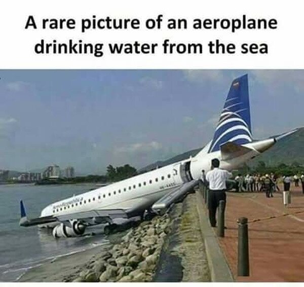 agua,avión,beber,foto,raro