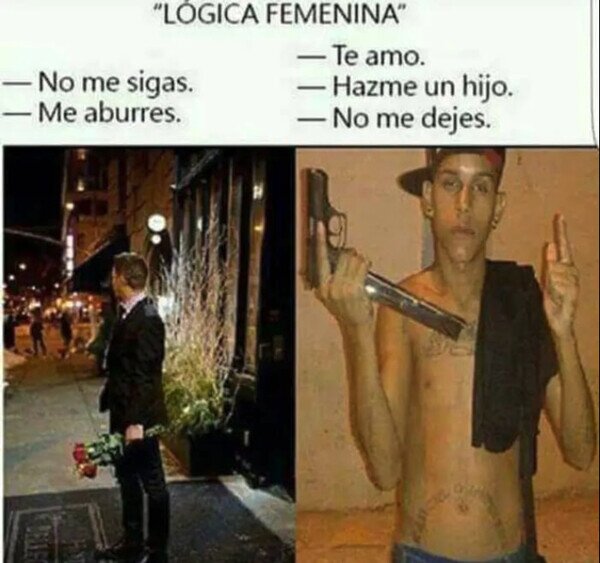 gustos,hombres,lógica,mujeres