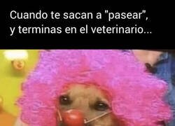 Enlace a Te tomaron por perro payaso