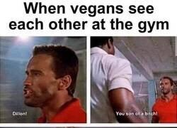 Enlace a Veganos encontrándose en el gimnasio