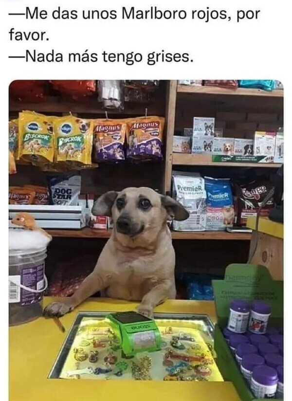 Meme_otros - El perro vendedor