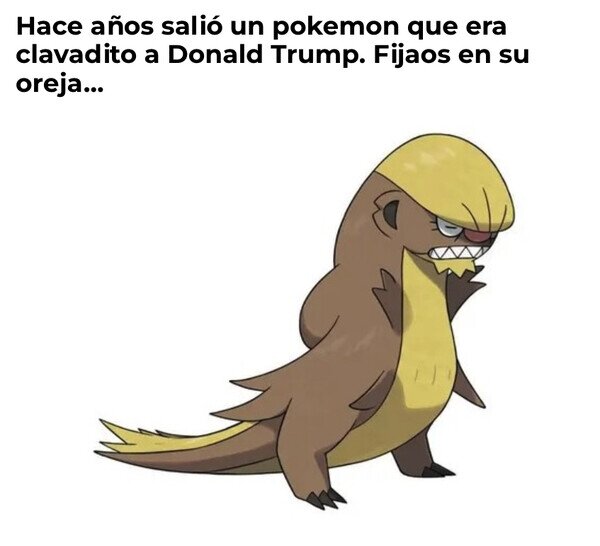 oreja,parecidos,pokemon,Trump