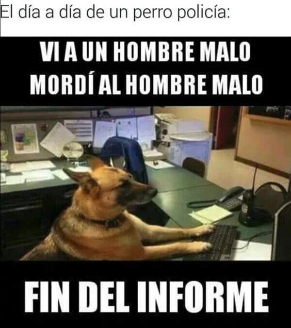Meme_otros - La dura vida del perro policía