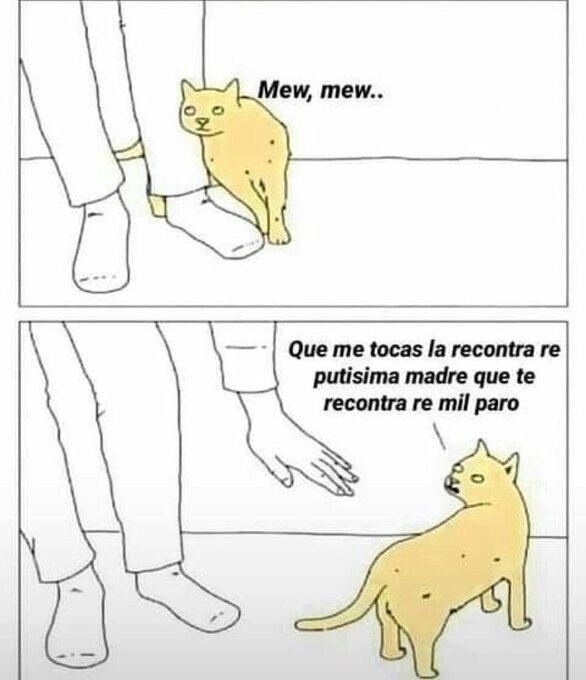 Meme_otros - ¿Qué diablos quieren los gatos?