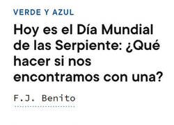 Enlace a ¿Qué vas a hacer sino?