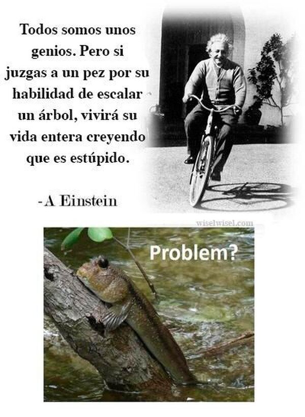 Meme_otros - Problem Einstein?