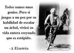 Enlace a Problem Einstein?