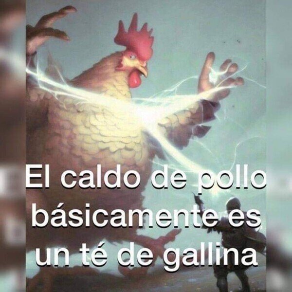 caldo,gallina,pollo,té