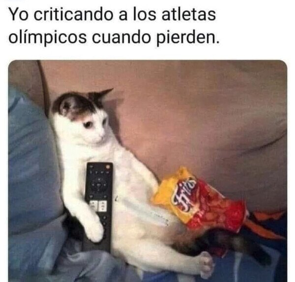 criticar,deportistas,gato,JJOO,perder,sofá