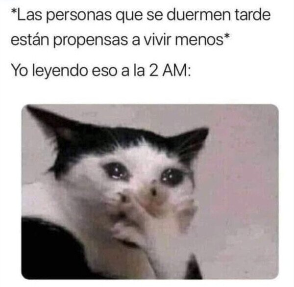 Meme_otros - Estoy jo*ido