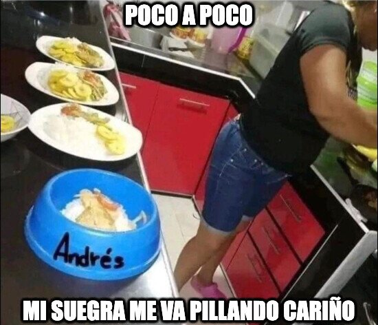 cariño,comida,platos,suegra