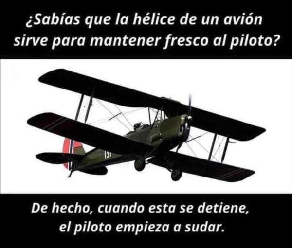 avioneta,hélice,piloto,sudar