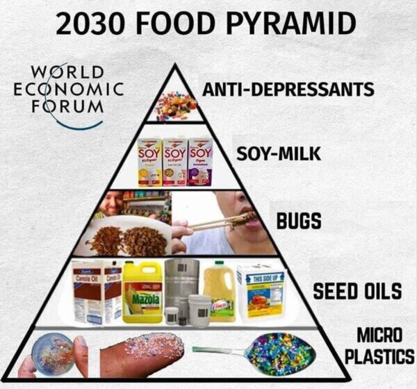 Otros - La pirámide alimenticia de 2030