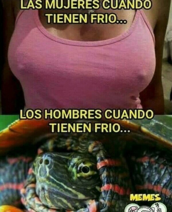 frío,hombres,mujeres,tortuga