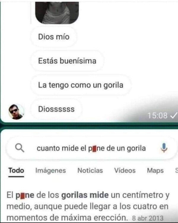 gorila,poner,tamaño,tener