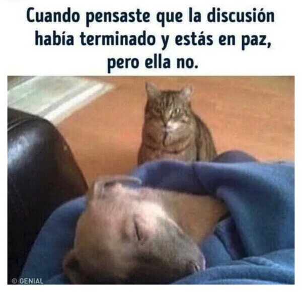 discusión,dormir,ella,pareja