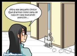 Enlace a ¿Qué animal busca más atención?