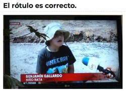 Enlace a Buena descripción