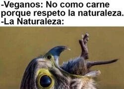 Enlace a La naturaleza se come a sí misma