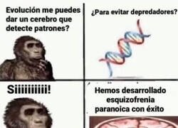 Enlace a Gracias, evolución