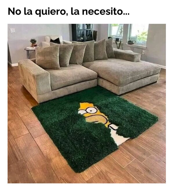 Meme_otros - La alfombra perfecta sí existe