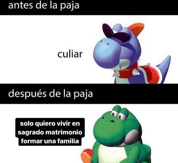 antes,despues,paja,yoshi