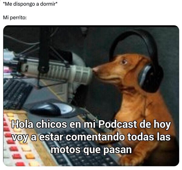 ladrar,motos,perro,podcast