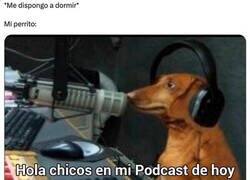 Enlace a Todos los perros por la noche