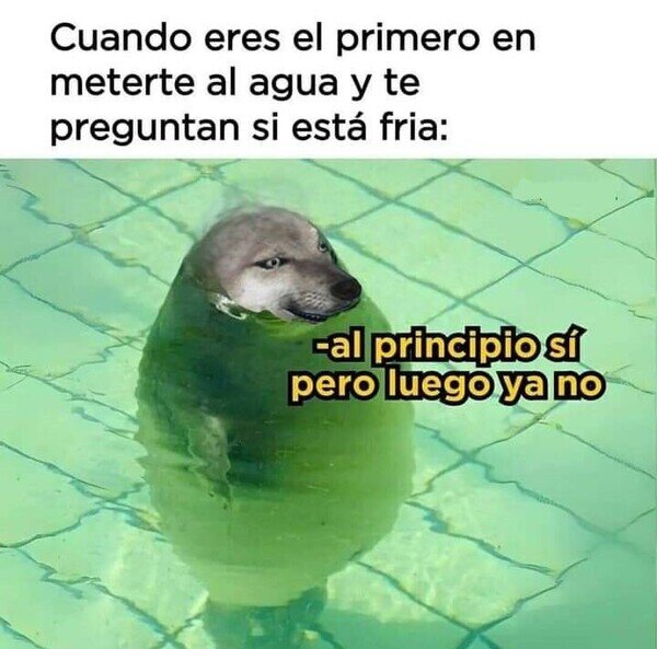 agua,caliente,foca,fria