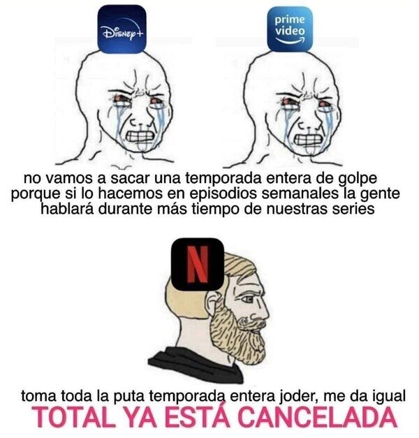 Meme_otros - A Netflix se la suda todo