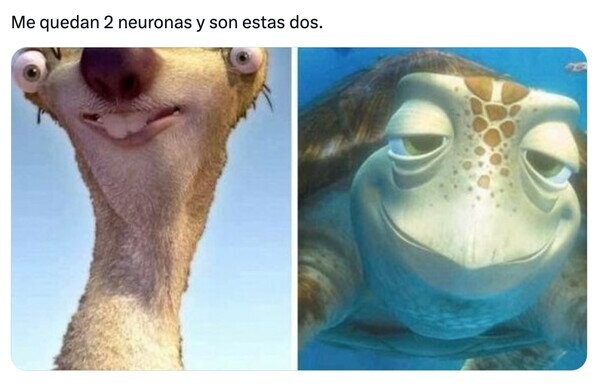 neuronas,quedar,retraso