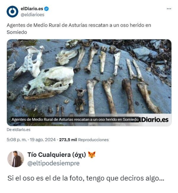 Meme_otros - ¿Oso herido?