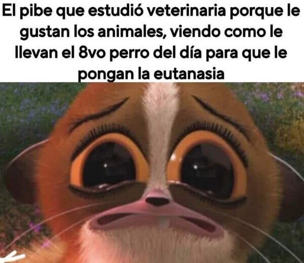 Meme_otros - No era tan bonito como pensaba