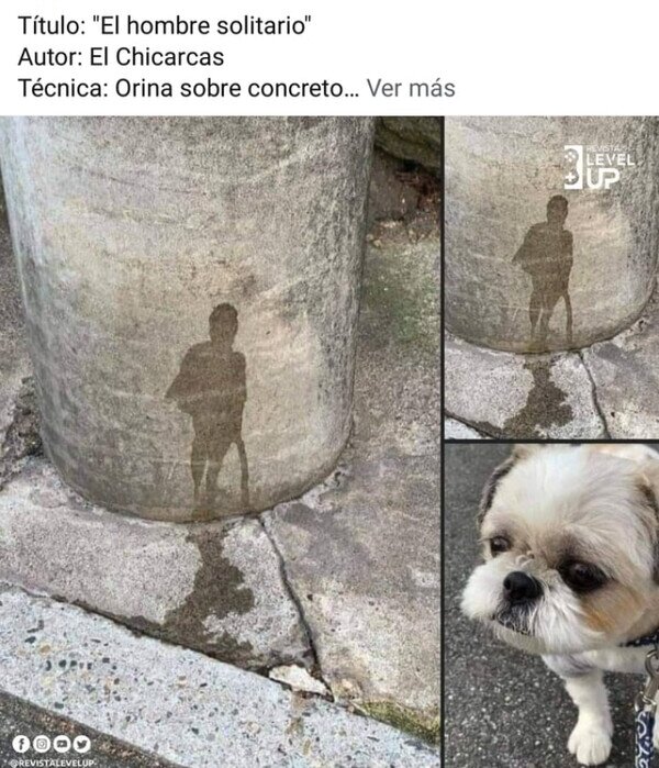 arte,mear,perro