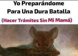 Enlace a Mi primera dura batalla